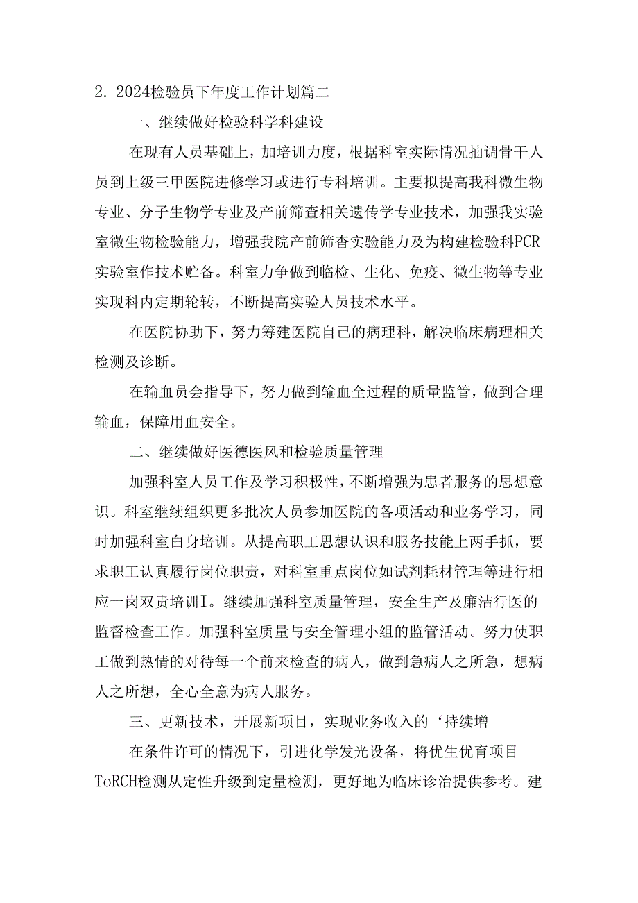 2024检验员下工作计划.docx_第2页