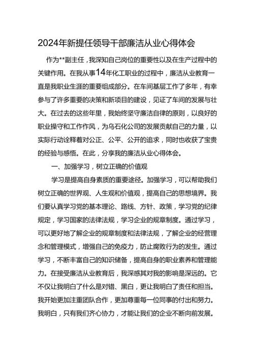 2024年新提任领导干部廉洁从业心得体会.docx