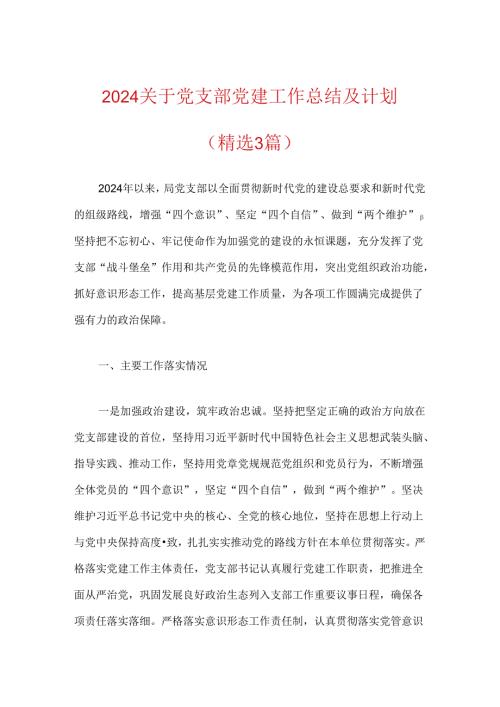 2024关于党支部党建工作总结及计划.docx