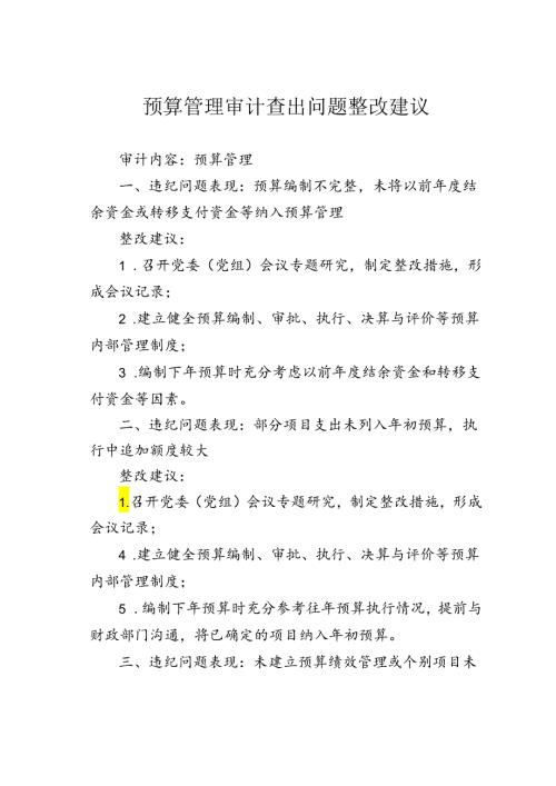 预算管理审计查出问题整改建议.docx