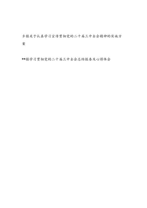 乡镇关于认真学习宣传贯彻党的二十三中全会公报精神的实施方案和总结报告.docx