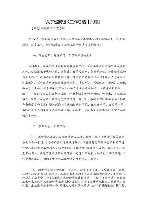 关于巡察组长工作总结【六篇】.docx