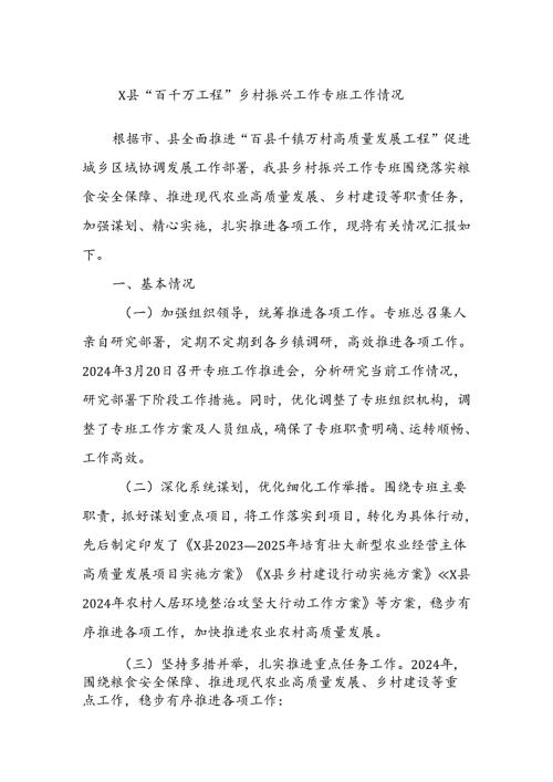 X县“百千万工程”乡村振兴工作专班工作情况.docx