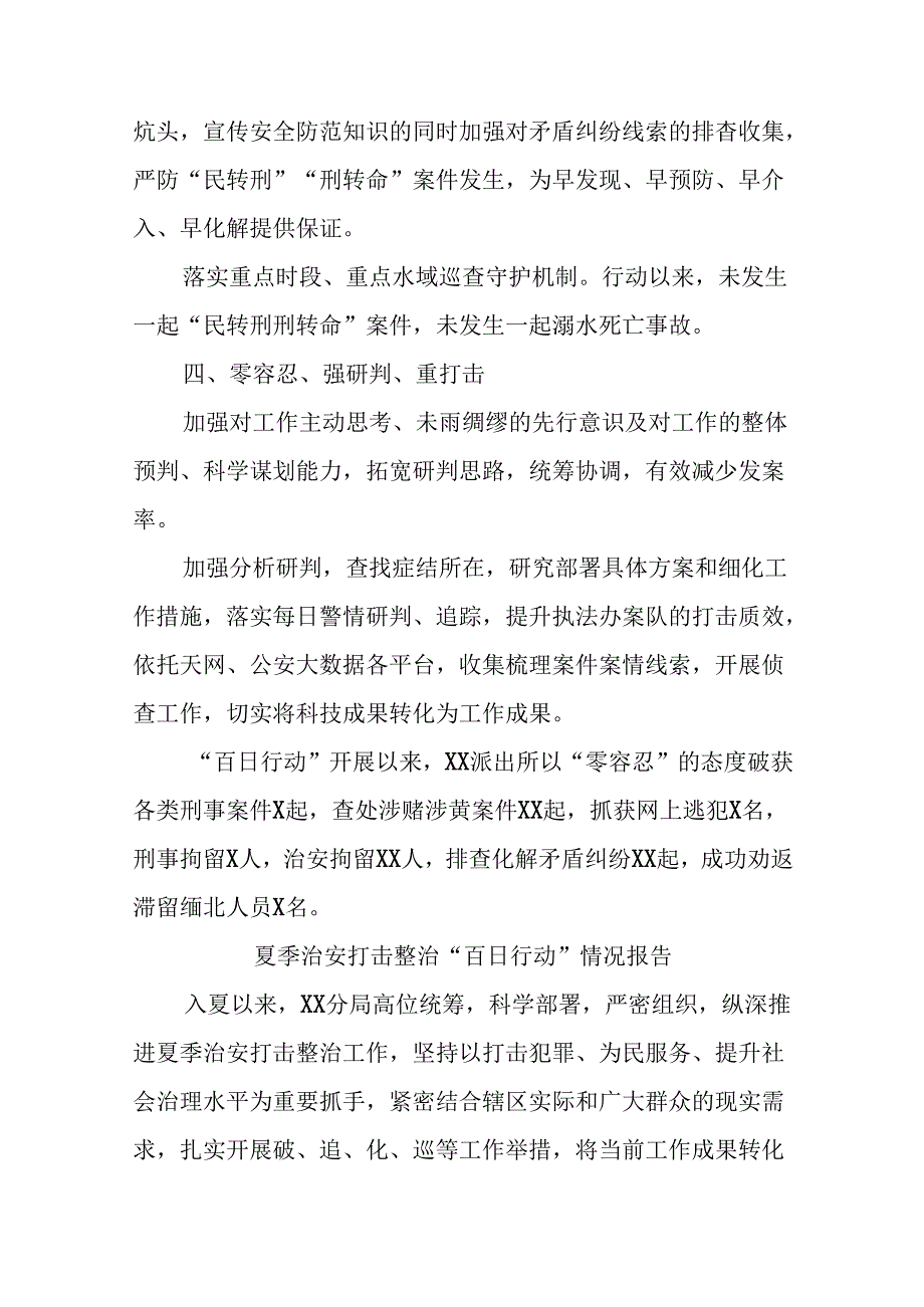 (27篇)2024年夏季治安打击整治专项工作总结(1).docx_第3页