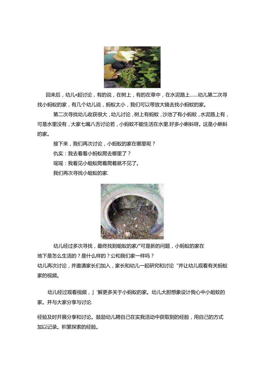 蚂蚁的秘密.docx_第3页