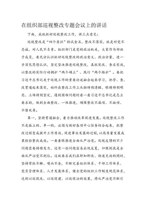 在组织部巡视整改专题会议上的讲话.docx