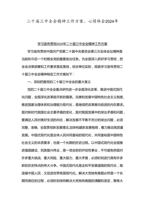 二十三中全会精神工作方案、心得体会2024年.docx