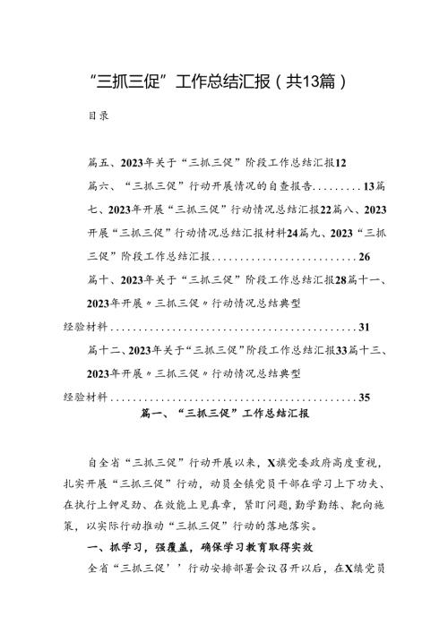 “三抓三促”工作总结汇报13篇（精编版）.docx