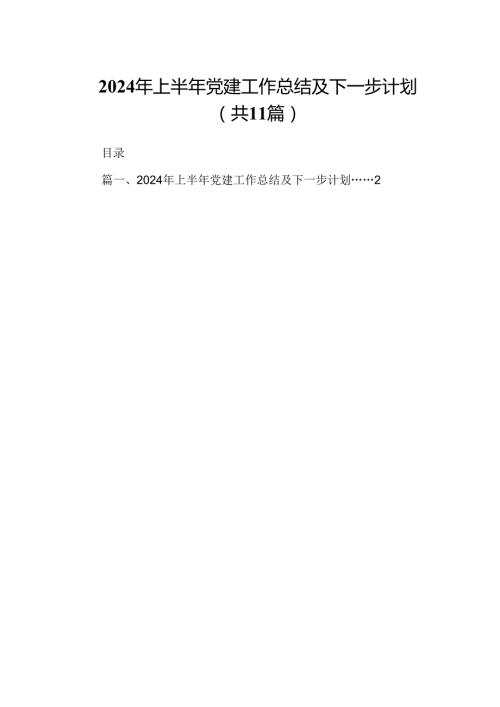 （11篇）2024年上半年党建工作总结及下一步计划（详细版）.docx