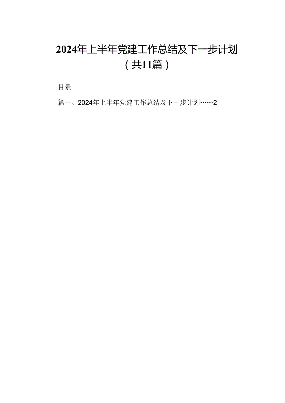 （11篇）2024年上半年党建工作总结及下一步计划（详细版）.docx_第1页