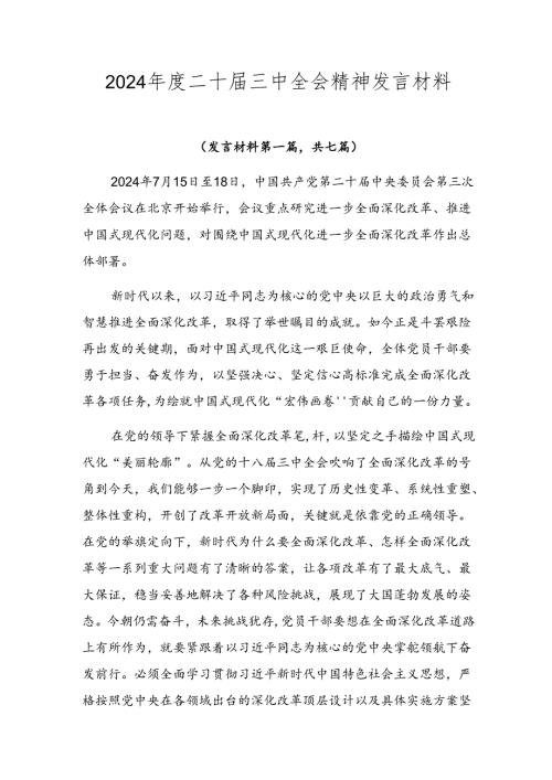 2024二十三中全会精神发言材料.docx