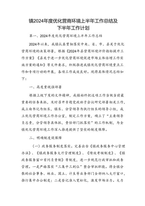 乡镇2024优化营商环境上半年工作总结及下半年工作计划.docx