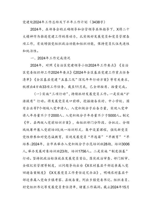 党建处2024年工作总结及下半年工作计划（3438字）.docx
