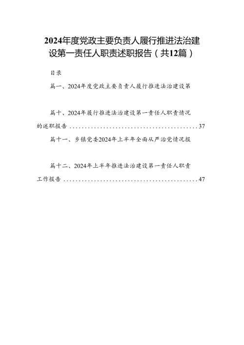 2024党政主要负责人履行推进法治建设第一责任人职责述职报告12篇（精选）.docx