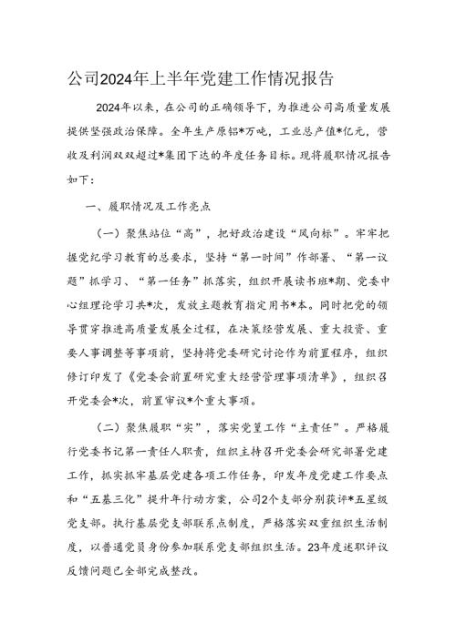 公司2024年上半年党建工作情况报告.docx