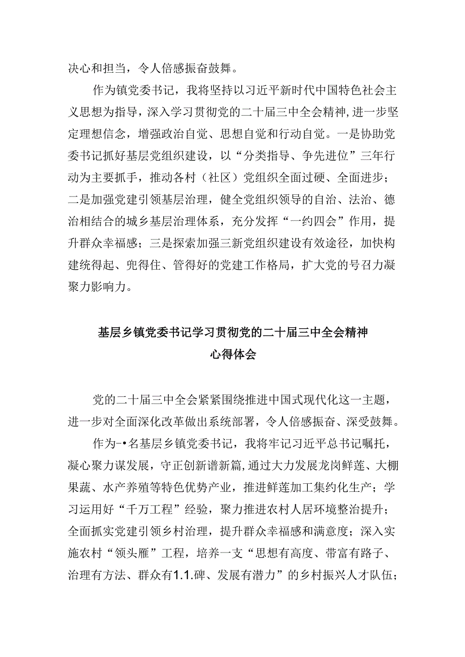 乡党委书记学习贯彻党的二十三中全会精神心得体会范文8篇（精选）.docx_第2页