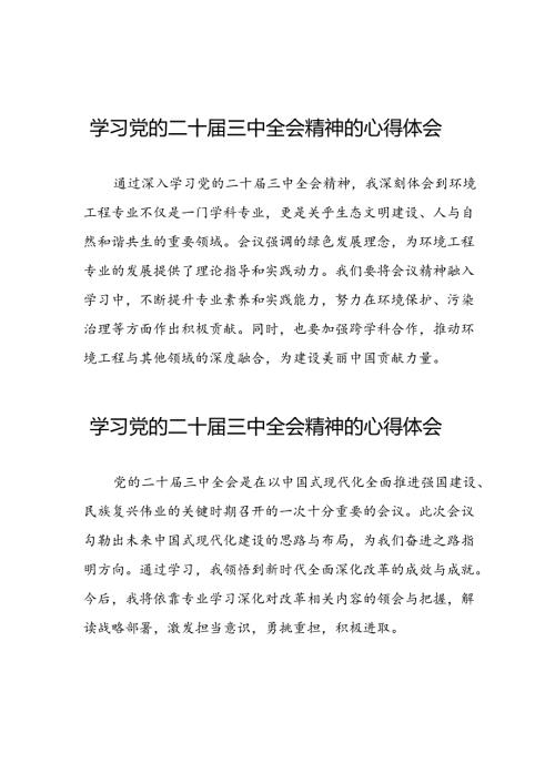 2024年二十三中全会精神的心得体会三十篇.docx