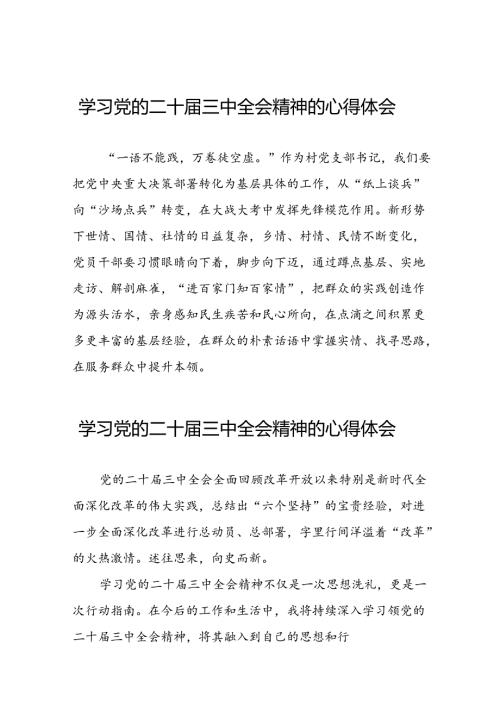 党员学习贯彻党的二十三中全会精神心得体会样本33篇.docx
