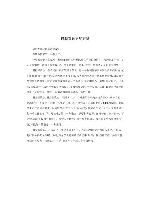 迎新领导的致辞.docx