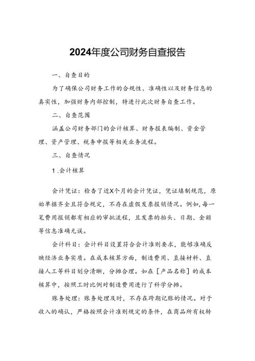 2024公司财务自查报告.docx