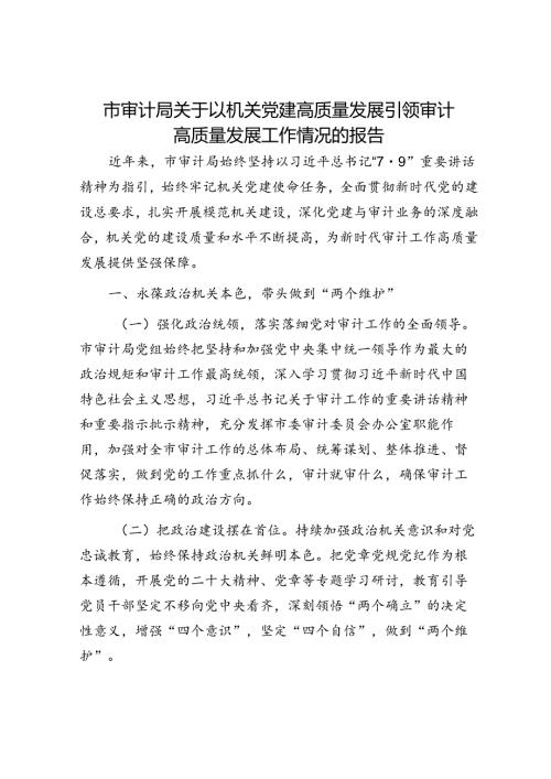 市审计局关于以机关党建高质量发展引领审计高质量发展工作情况的报告.docx