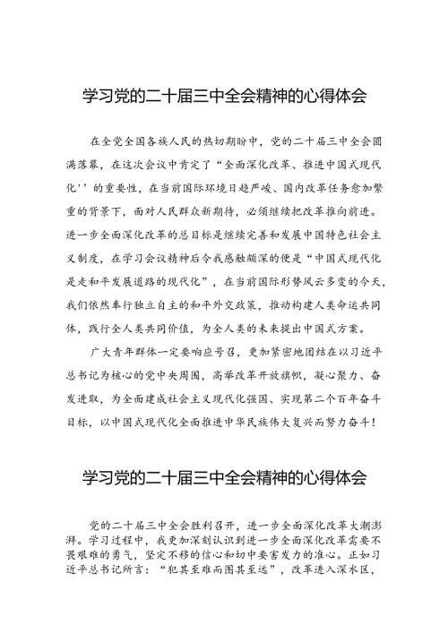 2024年学习贯彻二十三中全会心得体会合集42篇.docx