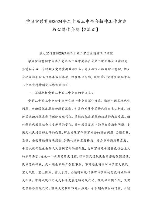 学习宣传贯彻2024年二十三中全会精神工作方案与心得体会稿【2篇文】.docx