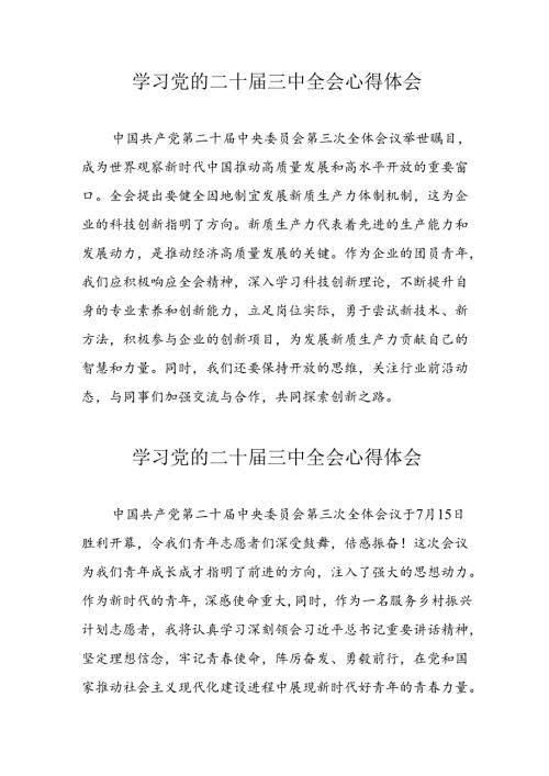 学习2024年党的二十三中全会心得体会 （13份）53.docx