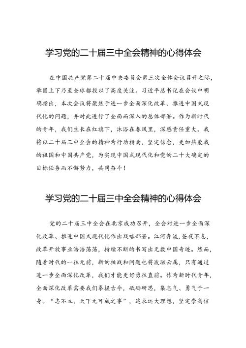2024年学习党的二十三中全会精神的心得感悟合集二十七篇.docx