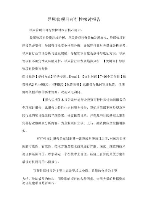 导尿管项目可行性研究报告0.docx