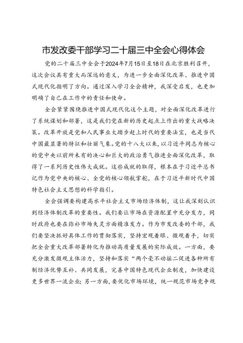 市发改委干部学习二十三中全会心得体会.docx