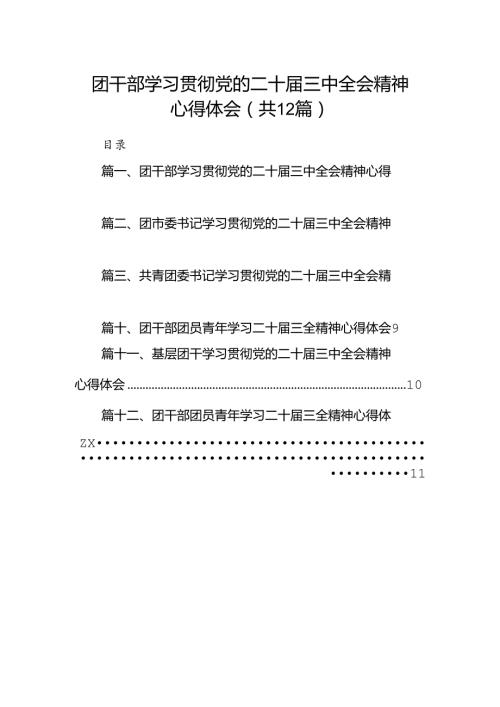 团干部学习贯彻党的二十三中全会精神心得体会(精选12篇).docx