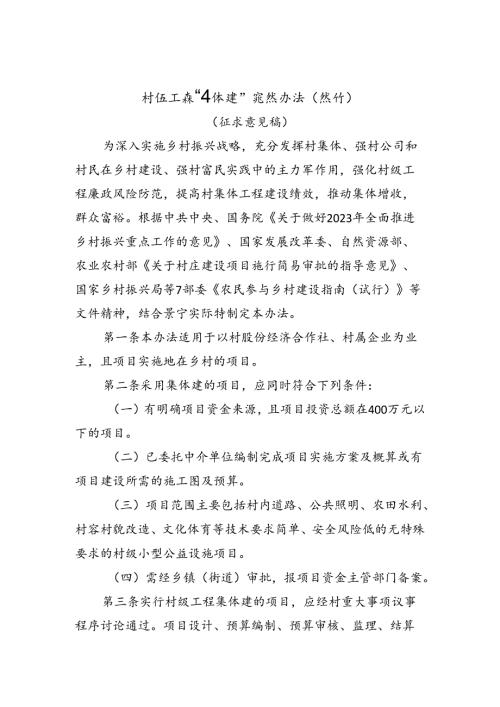 村级工程“集体建”实施办法（试行）（征求意见稿）.docx