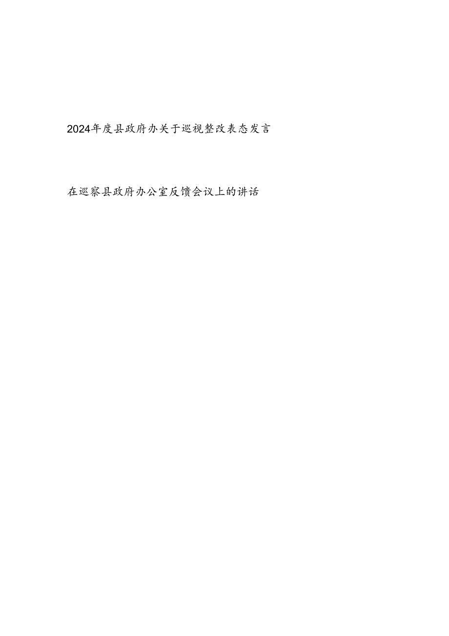 2024县政府办关于巡视整改表态发言和在巡察县政府办公室反馈会议上的讲话.docx_第1页
