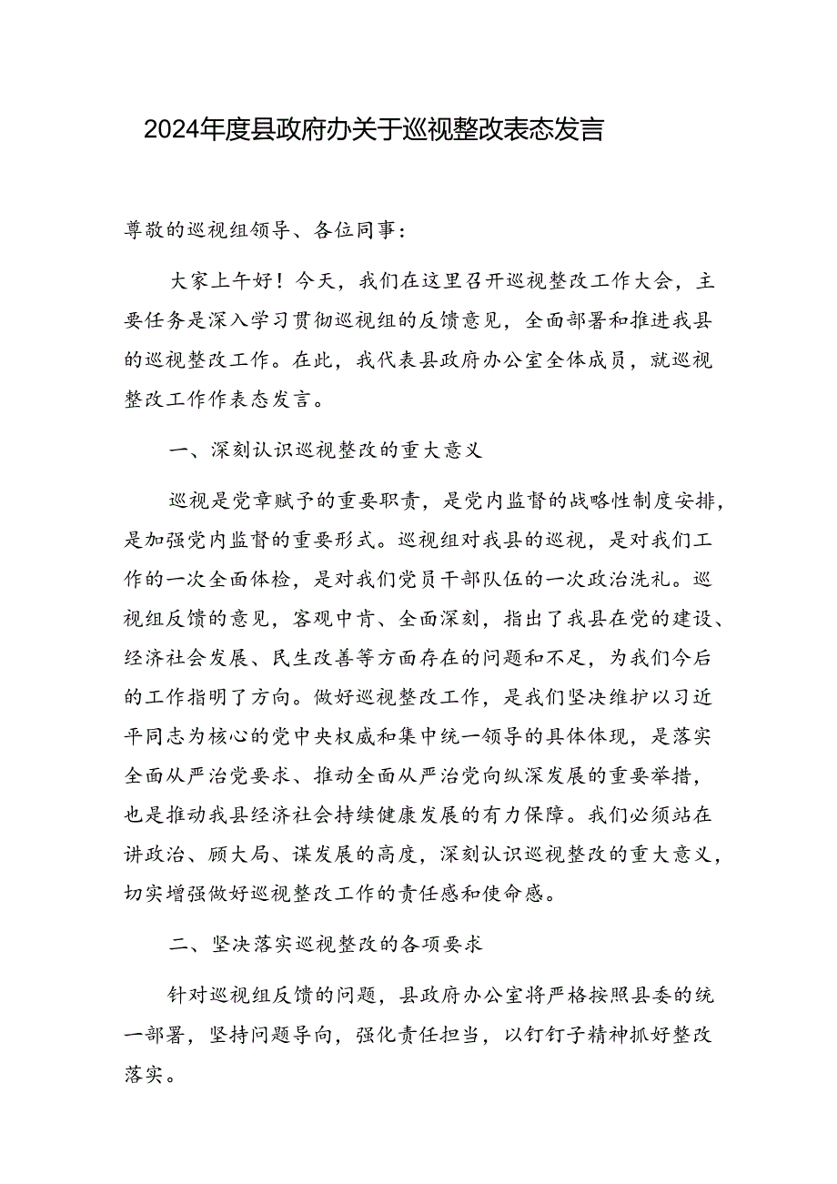 2024县政府办关于巡视整改表态发言和在巡察县政府办公室反馈会议上的讲话.docx_第2页