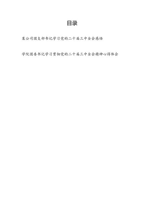 团委书记团支部书记学习党的二十三中全会精神心得体会感悟2篇.docx