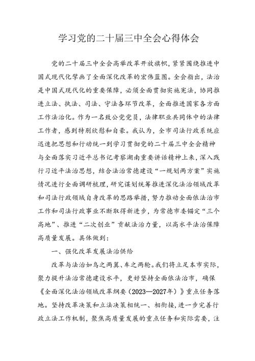 学习2024年学习党的二十三中全会个人心得感悟 （3份）95(1).docx