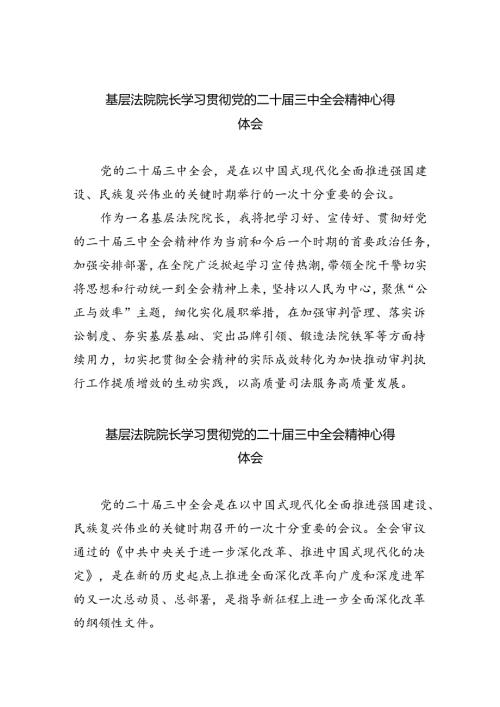 基层法院院长学习贯彻党的二十三中全会精神心得体会8篇供参考.docx