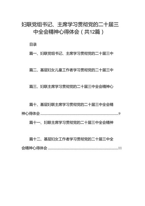 妇联党组书记、主席学习贯彻党的二十三中全会精神心得体会（共12篇）.docx