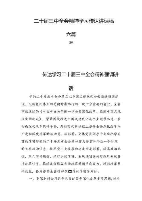 二十三中全会精神学习传达讲话稿六篇.docx