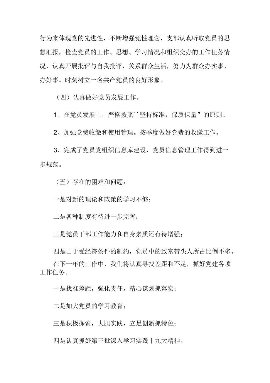 2024年党支部党建工作总结五篇.docx_第3页