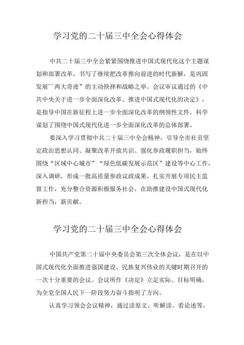 学习2024年党的二十三中全会心得体会 （11份）97.docx