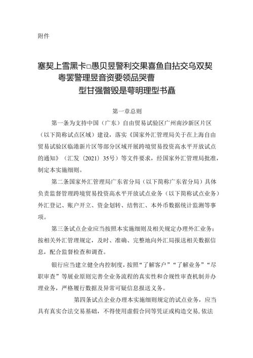 中国(广东)白由贸易试验区广州南沙新片区开展跨境贸易投资高水平开放外汇管理改革试点实施细则.docx