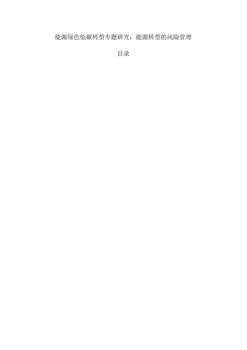 能源绿色低碳转型专题研究：能源转型的风险管理.docx