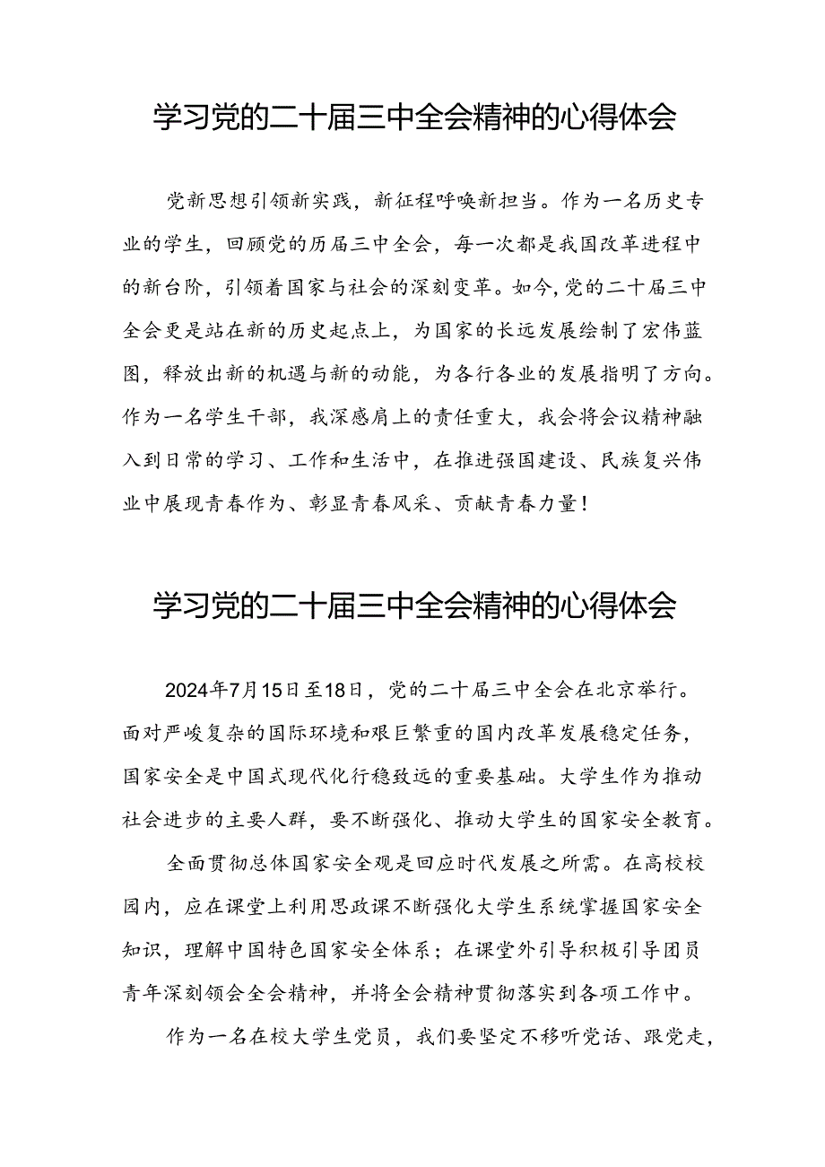 关于党的二十三中全会精神的心得感悟.docx_第3页
