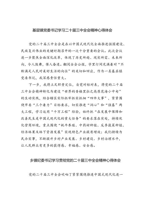基层镇党委书记学习二十三中全会精神心得体会8篇（精选版）.docx