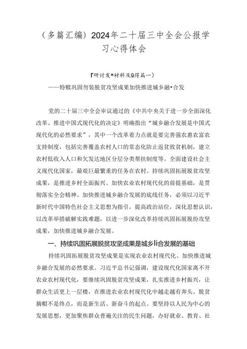 （多篇汇编）2024年二十三中全会公报学习心得体会.docx