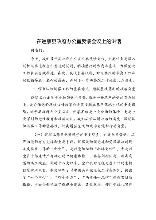 在巡察县政府办公室反馈会议上的讲话.docx