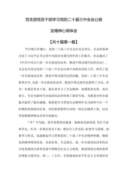（10篇）党支部党员干部学习党的二十三中全会公报及精神心得体会.docx