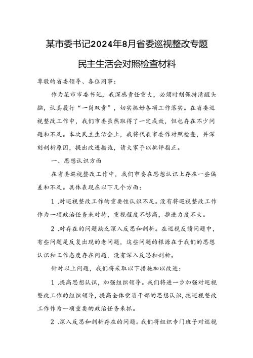 某市委书记2024年8月省委巡视整改专题民主生活会对照检查材料.docx